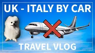 How To Bring a Dog from or to UK - 16 hours travel vlog 🇬🇧🇮🇹
