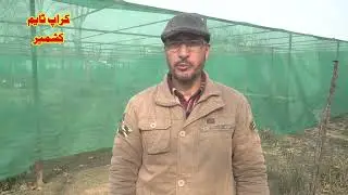 Croptime Kashmir ( Agriculture News )