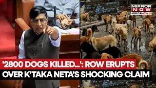 Karnataka Politician Claims Killing 2,800 Dogs, Burying Them | Shocker Amid SC's Order On Stray Dogs
