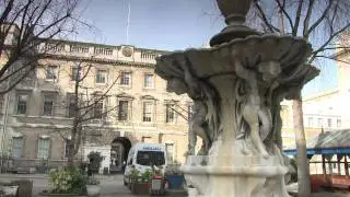 Introduction to Barts and The London NHS Trust