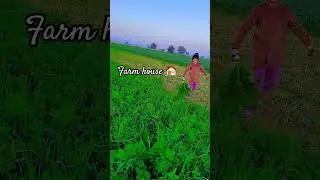 humara farm house 🏠 😍 👌.  #apnaghar #farmhouse #desilifestyle #music #love
