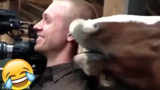 Best Funny Videos Of 2025 😂 TRY NOT TO LAUGH Funny Videos #9 😂