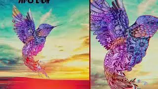 Holy Molly - No Limits