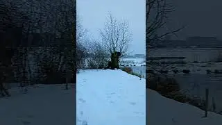 winter in Alphen aan den Rijn