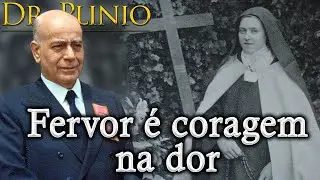 A prova do fervor é a coragem na dor! | Plinio Corrêa de Oliveira