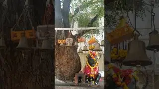 Basaveshwara 🔱  #kalaburagi #karnataka  #nandi  #youtubeshorts