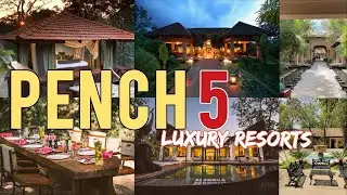 Top 5 Luxury Resorts in Pench Jungle |Luxury Resort | Jungle Resort #resort #pench #hotels #jungle