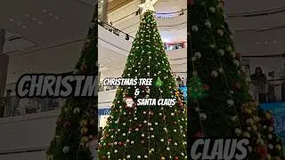 Christmas Tree | Santa Claus 🧑🏻&zwj;🎄🎄 #christmas #christmas2025 #christmastree #santaclaus #celebration