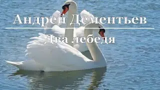 Андрей Дементьев - Два лебедя