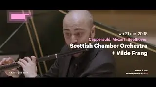 Scottish Chamber Orchestra + Vilde Frang