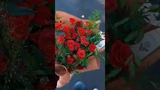 Happy ✨💞 Rose Day 🌹💫 New Status 2026 || 😍 🥀 Rose Day 💐🥰Whatsapp Video download || 🗓️ 7 February