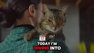 Top 10 Things Your Cat Is Trying to Tell You