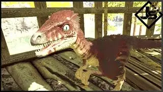 🐲 Ark Survival Evolved: S3E4: Детёныш троодона и Резня троодона🐲