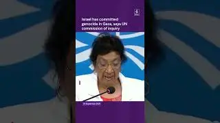 Israel committed genocide in Gaza - UN Commission