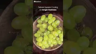 Dawlance | Refrigerators | ACCE Pro Series