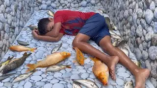 This Boy Clean Aquarium Fish Tank (4K Ultra Video)