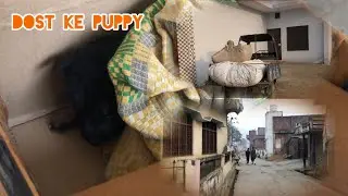 Dost ke doggy ke puppy ek ko dene gye 👍