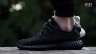 Comparison Adidas Yeezy Boost 350 Turtle Dove vs Pirate Black GTFan712 32
