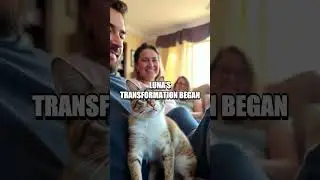 Furry Miracle: Luna's Journey from the Ashes