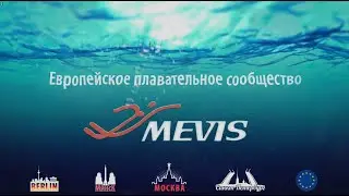 Филиал плавательного клуба Mevis в Минске. Обучение плаванию взрослых