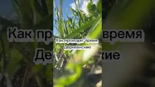Досуг в деревне🫶 #лето #деревня #деревенскаяжизнь #семья #жизньвдеревне #дача #дети #garden