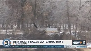 DNR hosts Bald Eagle Watching Days in Prairie du Sac
