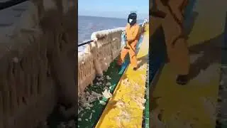 Salt breaking process for ship #bulbus #shorts