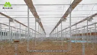 Grow Safely with PC Greenhouses 🌿 | Year-Round Protection