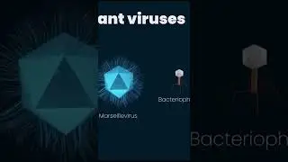 48,500-year-old ZOMBIE VIRUS revived by Scientists in Russia !!