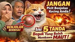 JANGAN Picit Benjolan Kucing Anda! 🙀 Ini 5 TANDA 'Beguk' Yang Boleh Membawa MAUT!