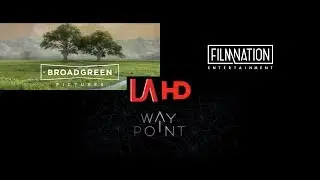 Broad Green Pictures/FilmNation Entertainment/Waypoint