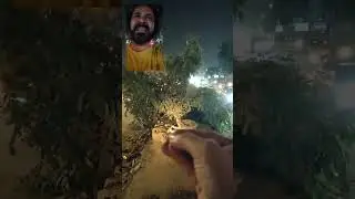Save Trees Save Karachi 🌳 | Kya Darakhton Ko Bachaya Ja Sakta Hai? | #mainshahidhon  ☝🏻✊🏻✌🏻
