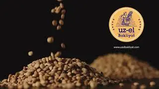 Uzel Bakliyat G&uuml;&ccedil;l&uuml; ve Sağlıklı Kalmak İ&ccedil;in