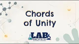 Chords of Unity | Lab Notes | Virginia Satellite Studio