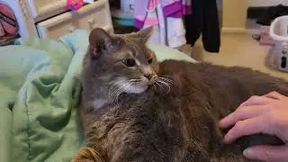 Bunny has soft rabbit fur!