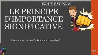 Le principe d'importance significative en comptabilit&eacute;
