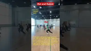 Rat and Rabbit : fun activity to develop reaction skills and speed. #pegames #physicaleducation