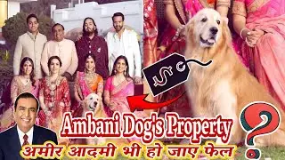 The RICHEST Dog in the World lives with Ambani! (SHOCKING) #ambani #happy