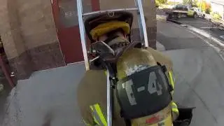 Multi-Company training with VES