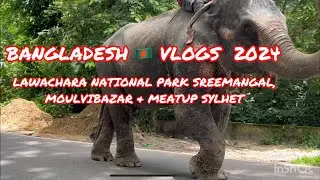 MEAT UP RESTAURANT SYLHET, | BANGLADESH 🇧🇩 VLOGS | LAWACHARA NATIONAL FOREST SREEMANGAL MOULVIBAZAR