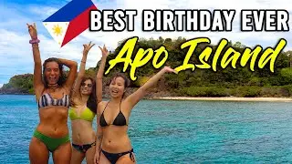 APO ISLAND is it WORTH IT? - Philippines Travel 2019