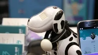 El Canhe-Fit es un monitor de actividad para tu perro