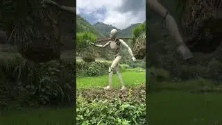Robots are useless in rural areas, and drones are more cost effective。