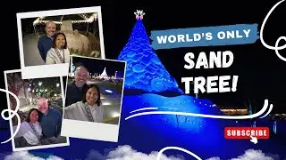Is This the Most UNIQUE Christmas Tree Ever? 🎄✨ West Palm Beach Sandi Tree Tour 2025