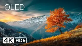 Stunning 4K HDR Nature Video &ndash; Perfect for OLED Displays