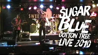 ✩🎵 Sugar Blue - 