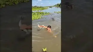 Никогда не прыгайте в мутную воду! 😳🐊 #рыбалка