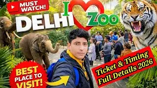 Delhi Zoo 😱 Video | Entry Fees, Ticket & Timing | National Zoological Park | Best Place To Visit 