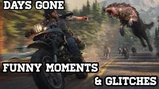 Days Gone Funny Moments And Glitch&rsquo;s