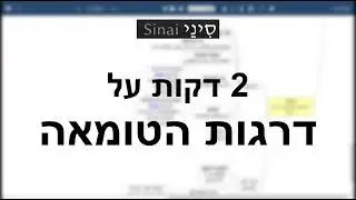 מושגים בגמרא: דרגות הטומאה (אב הטומאה, ראשון לטומאה, שני לטומאה, שלישי לטומאה, רביעי לטומאה)
